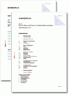 Businessplan allgemein