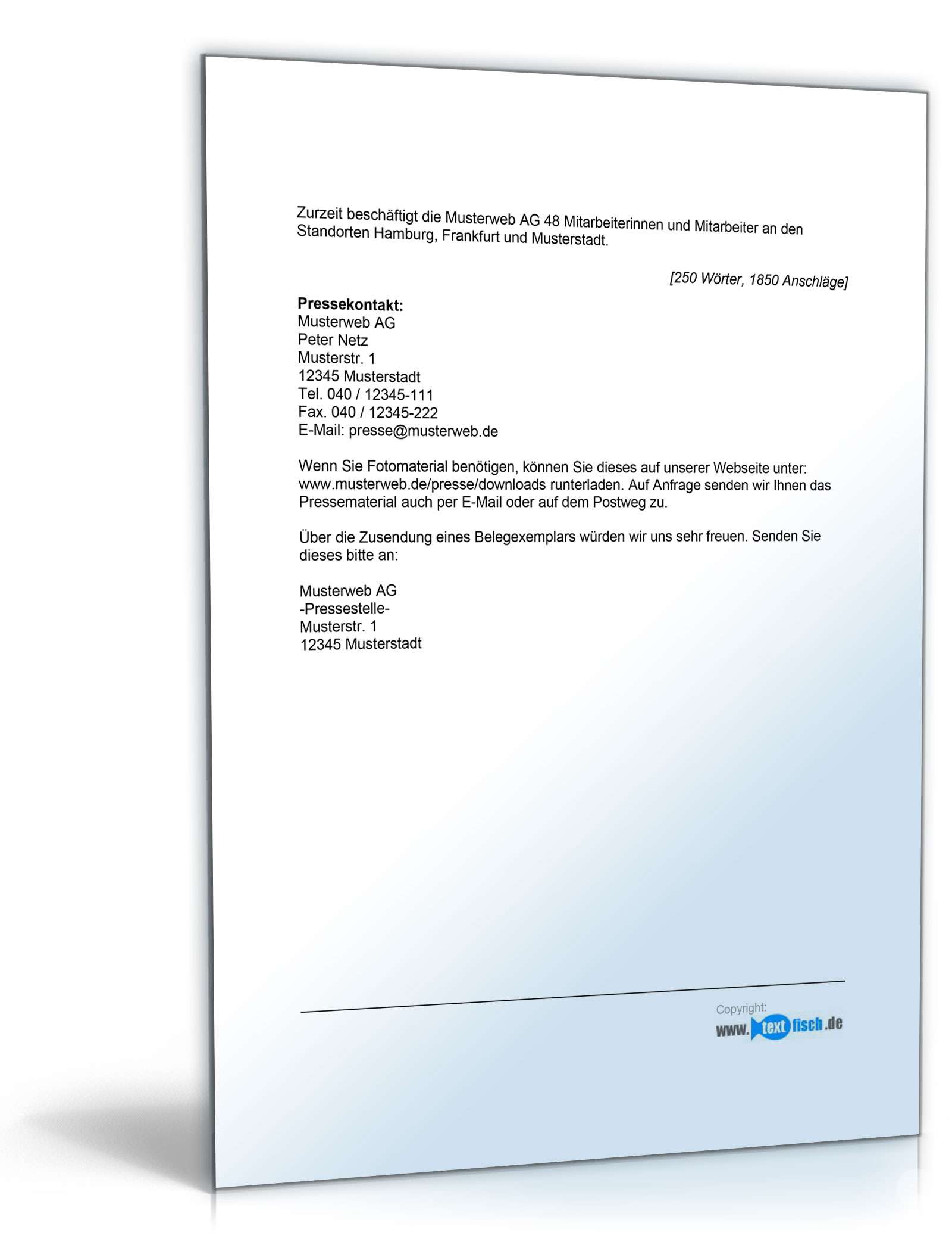 Pressemitteilung Launch eines Internetportals (Shop) PDF. Seite: 2