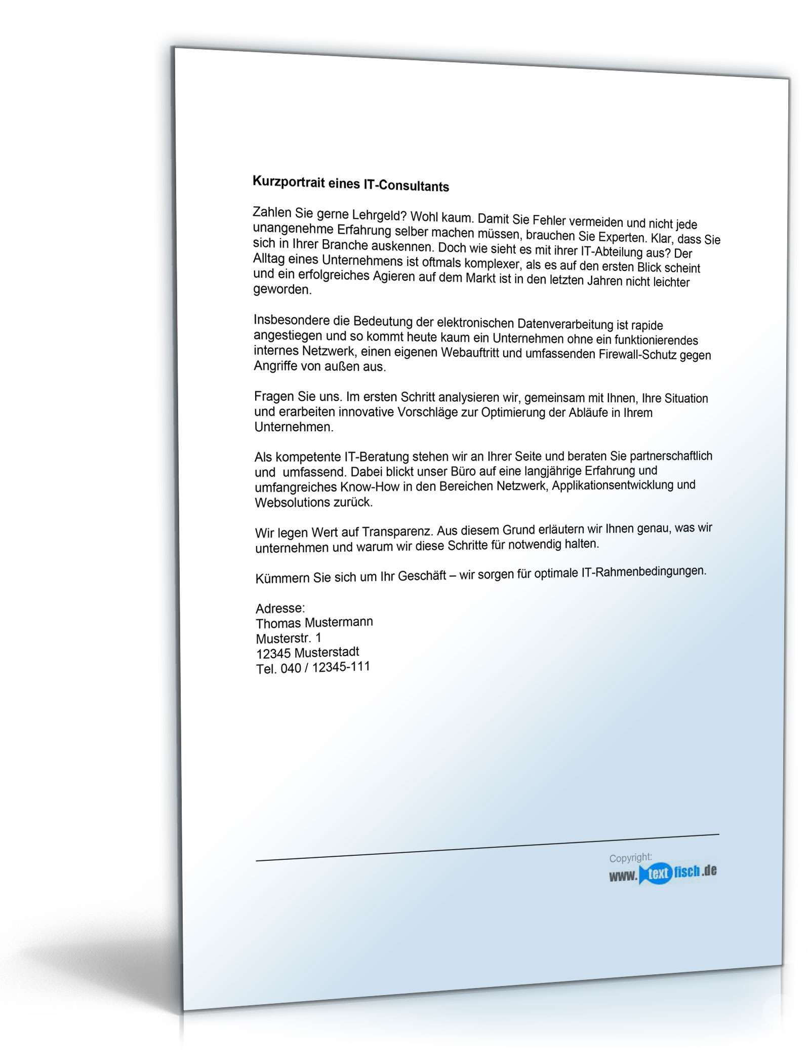 Werbetext für einen IT-Consultant