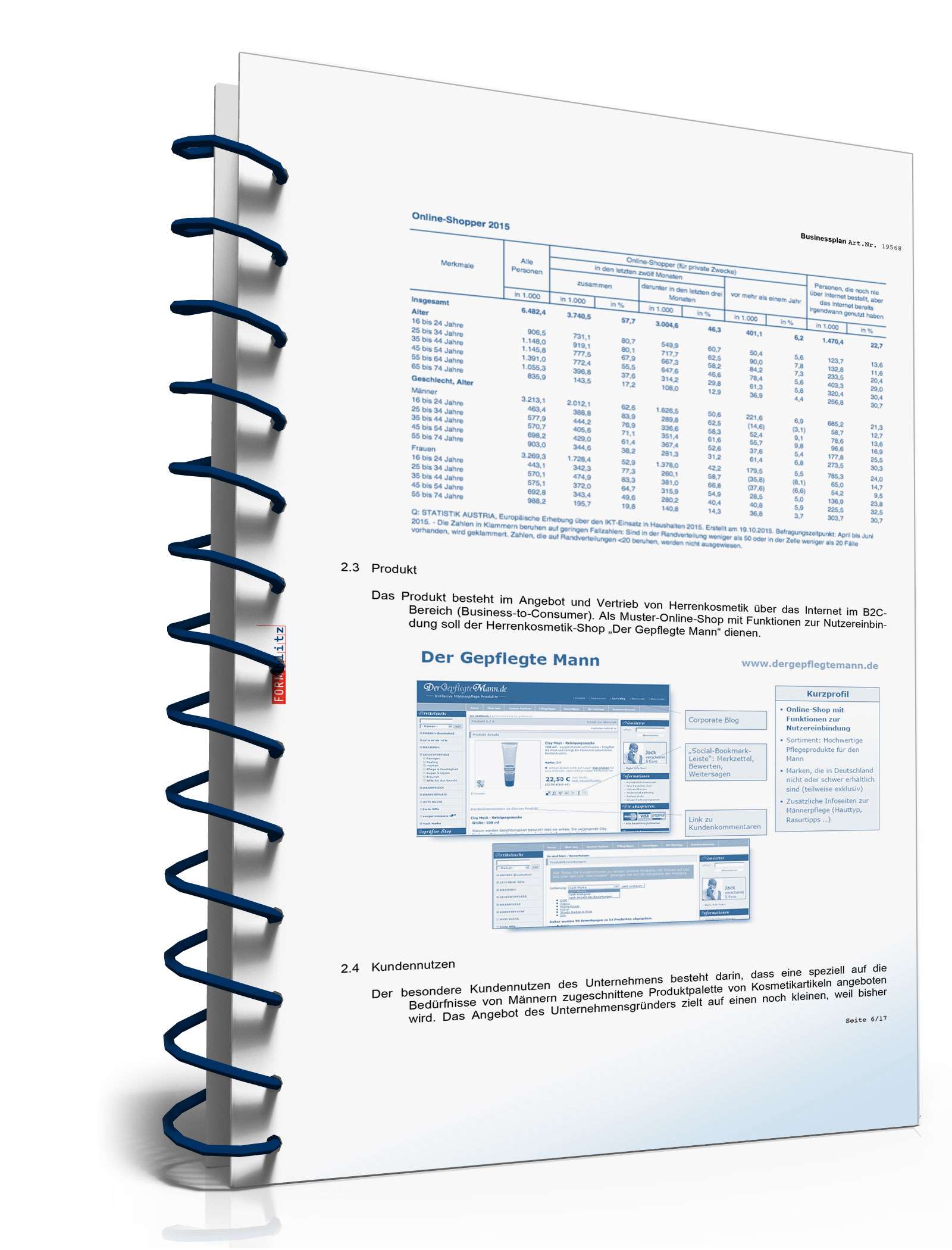 Businessplan für einen Online-Shop Excel. Seite: 4