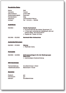 Lebenslauf (Schüler) Word