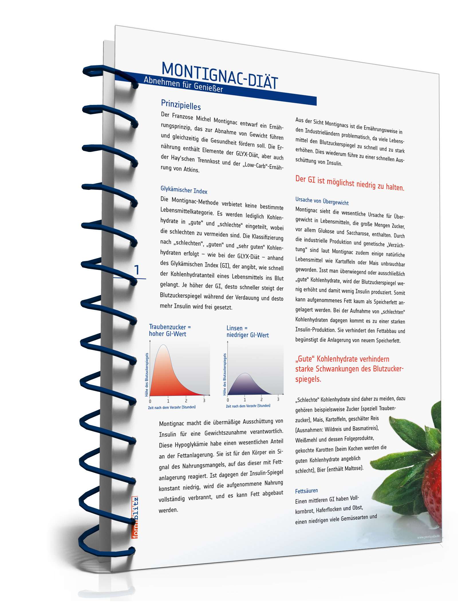 Montignac-Diät (Ratgeber mit Diätplan und Einkaufsliste) PDF