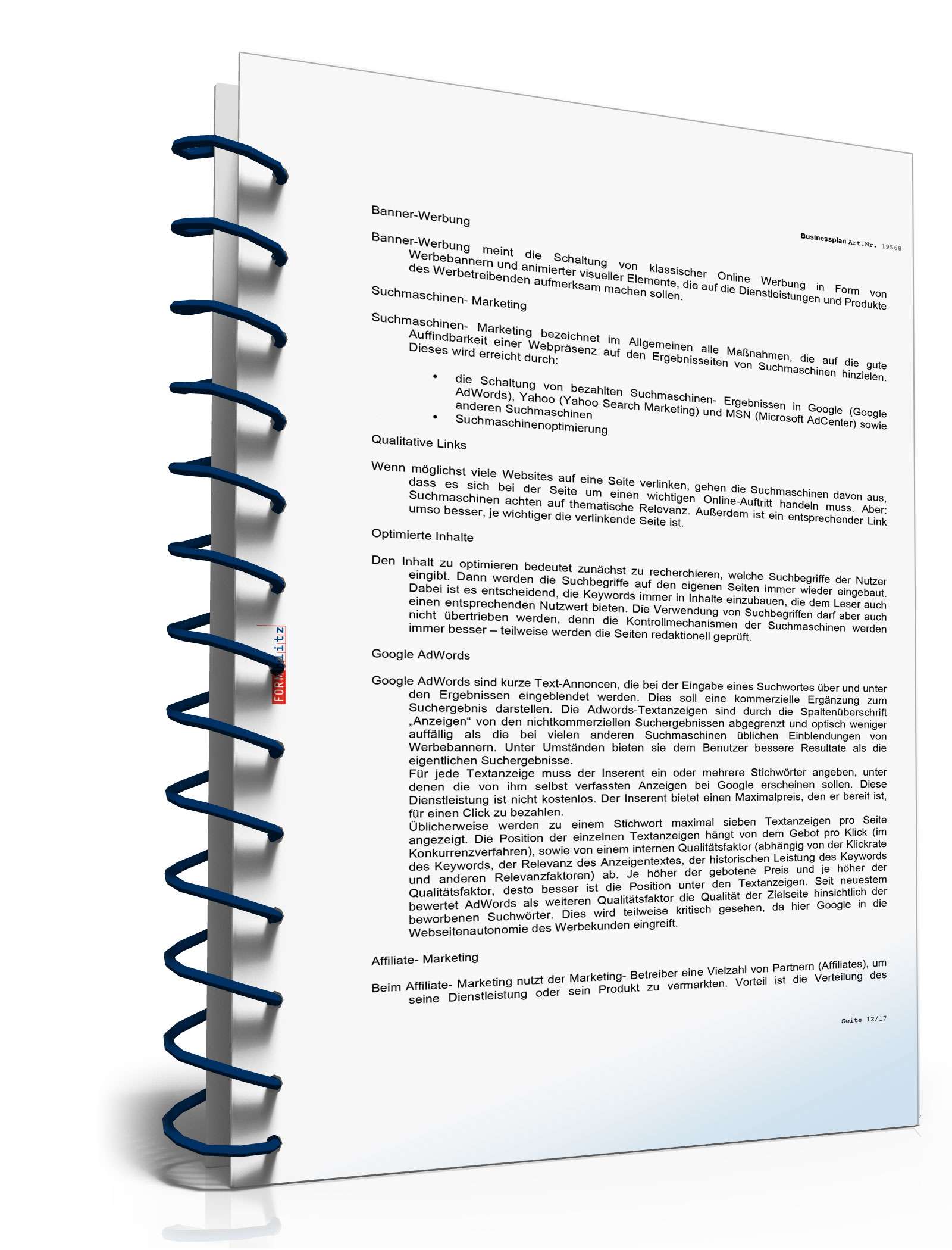 Businessplan für einen Online-Shop Excel. Seite: 10