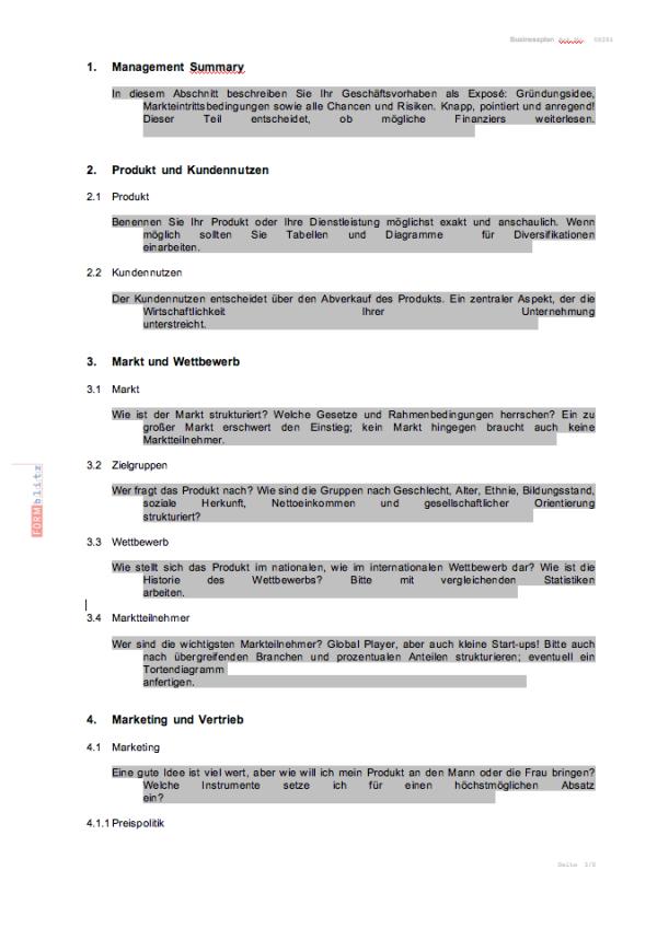Businessplan allgemein Excel. Seite: 3