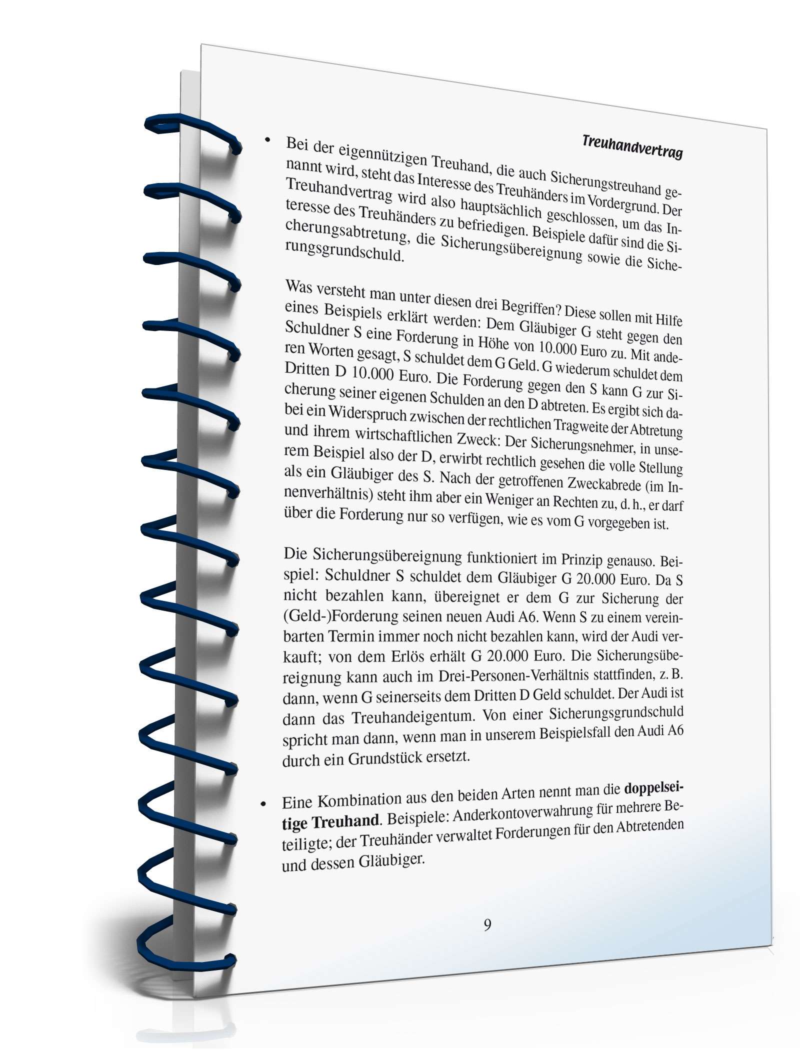 Der Treuhandvertrag PDF. Seite: 9