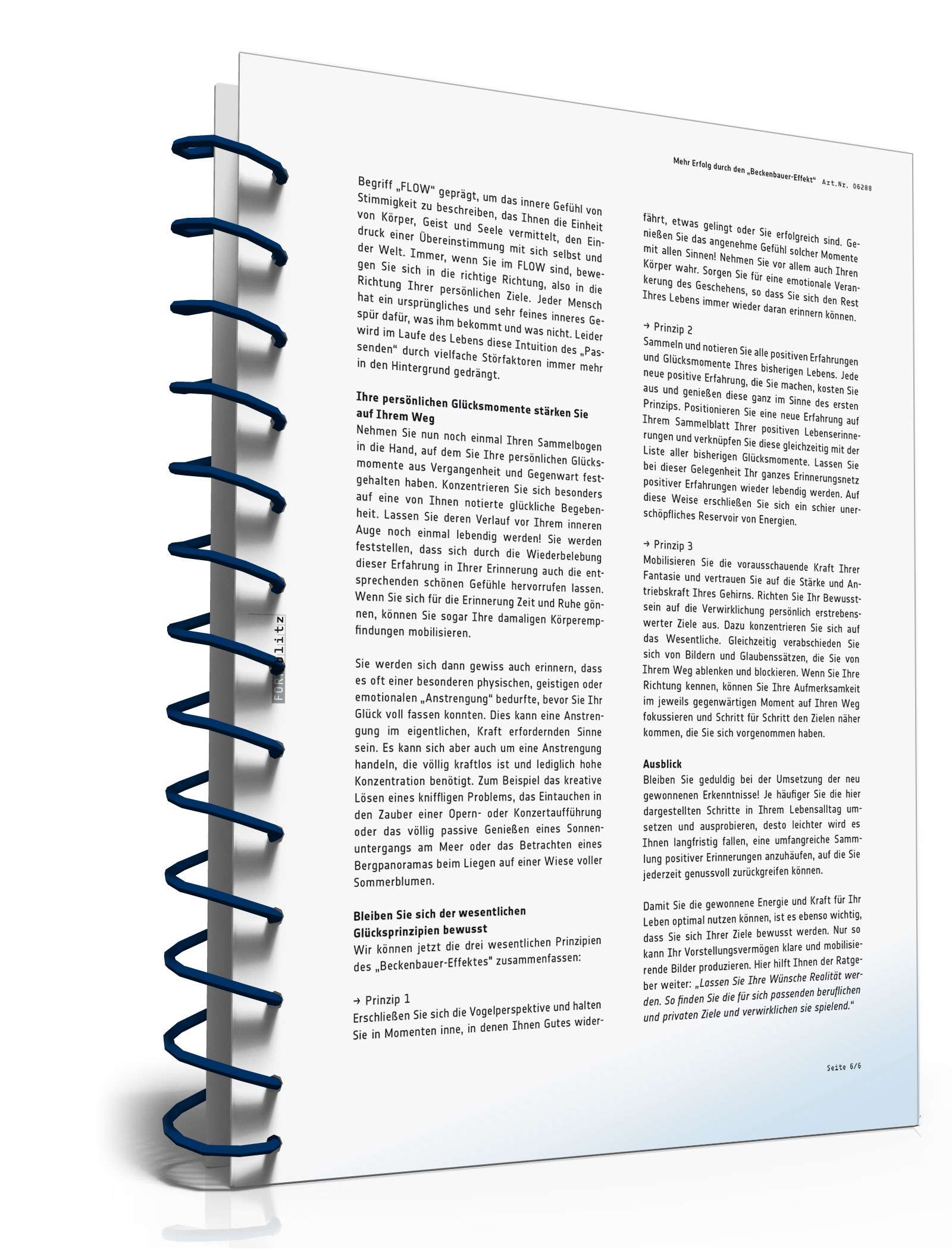 Mehr Erfolg durch den Beckenbauer-Effekt PDF. Seite: 7