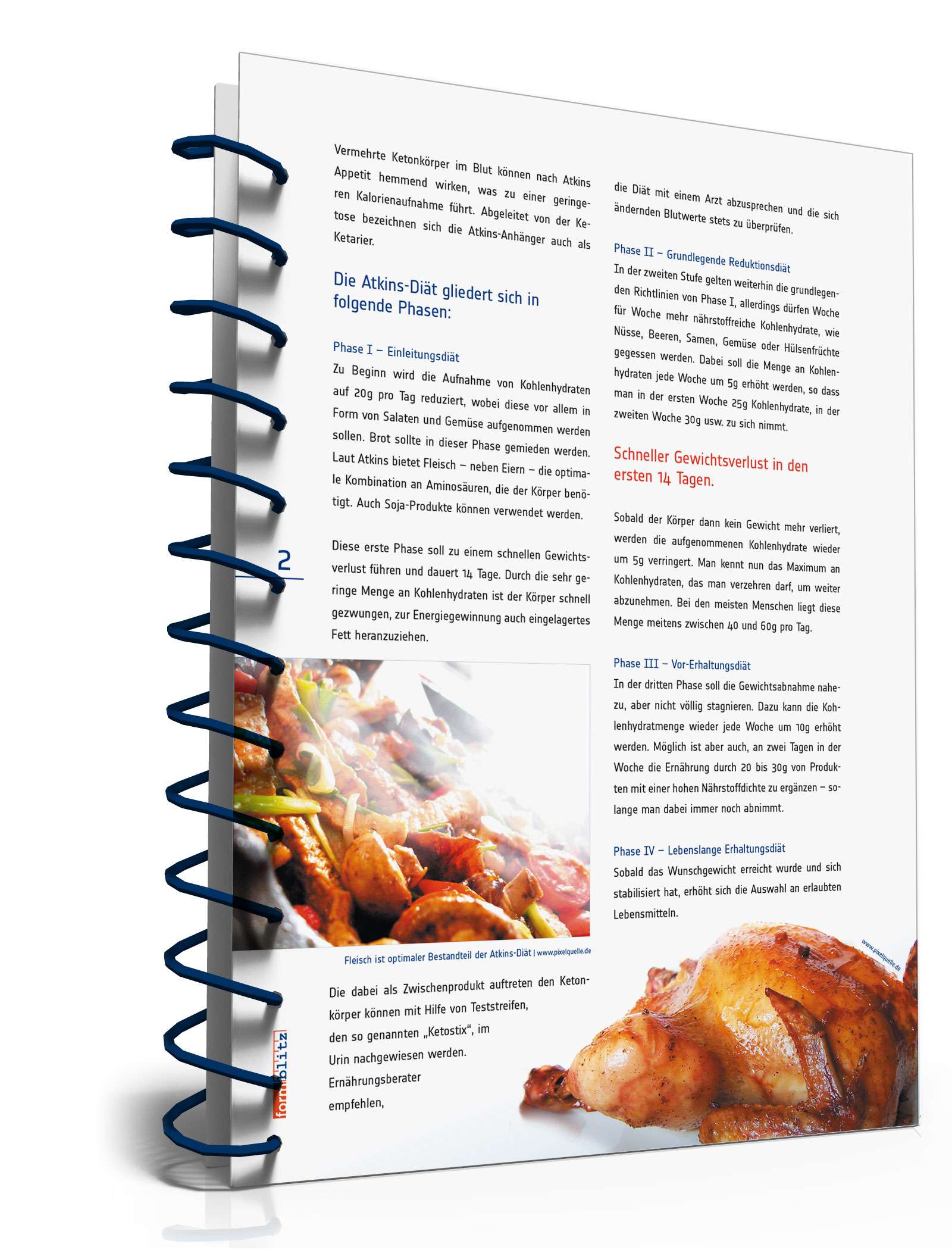 Atkins-Diät (Ratgeber mit Diätplan und Einkaufsliste) PDF. Seite: 2