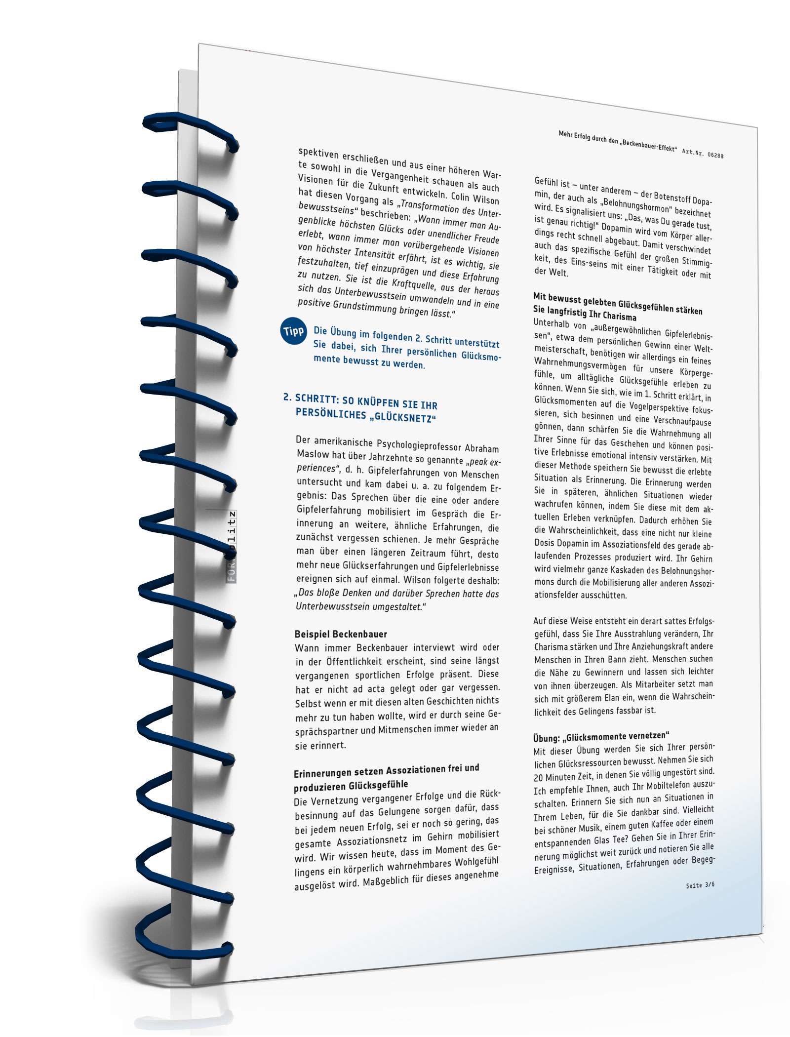 Mehr Erfolg durch den Beckenbauer-Effekt PDF. Seite: 4