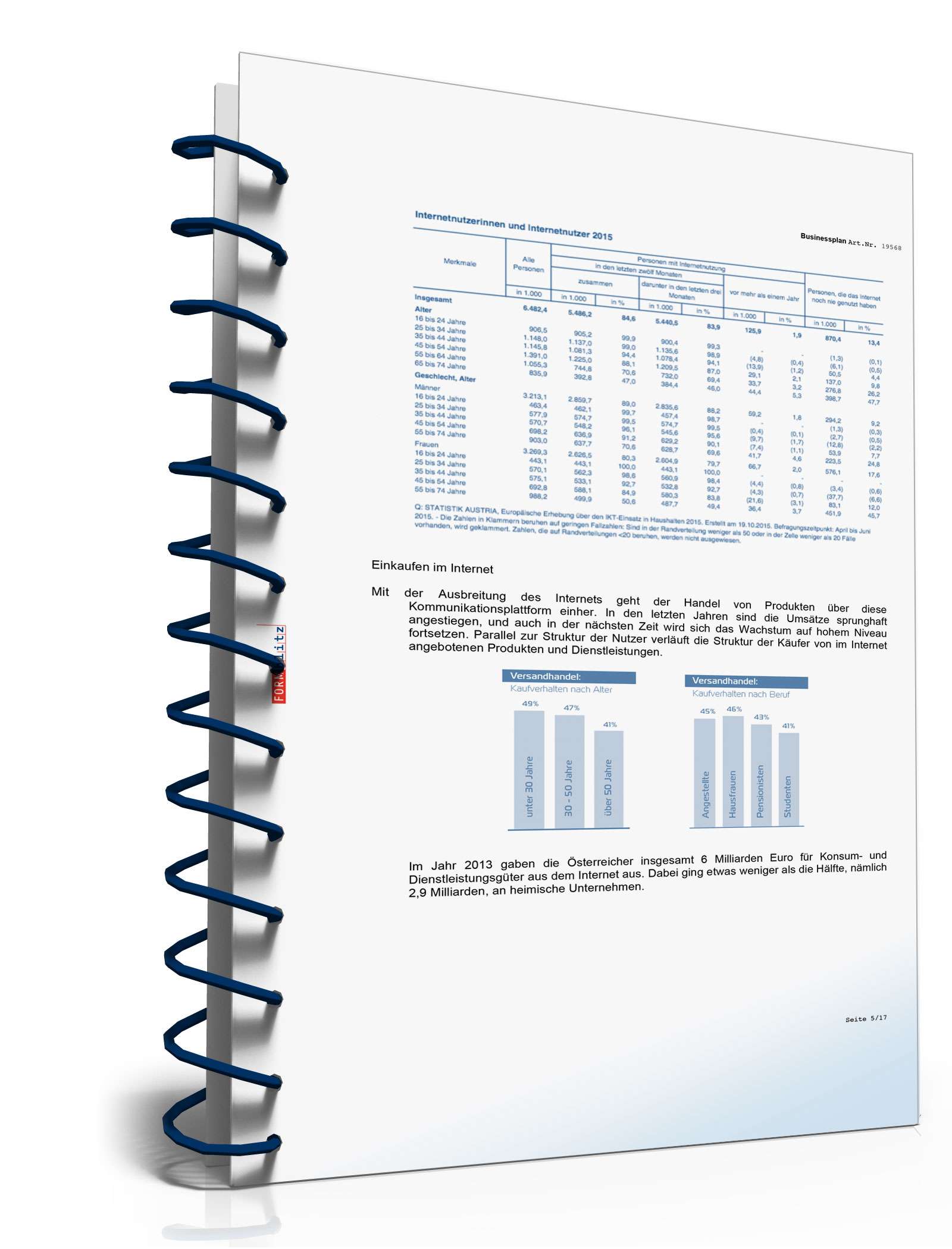 Businessplan für einen Online-Shop Excel. Seite: 3