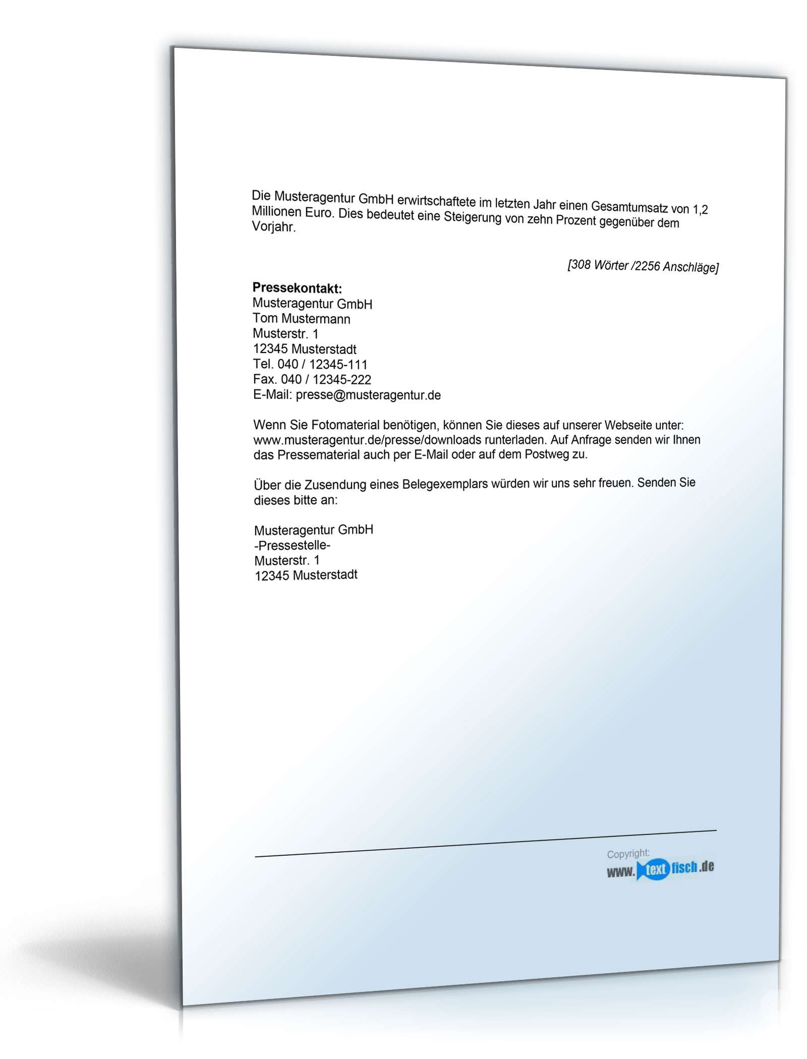 Pressemitteilung Firmenjubiläum (Werbeagentur)  PDF. Seite: 2