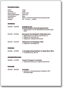 Lebenslauf (Fachinformatiker)
 Word