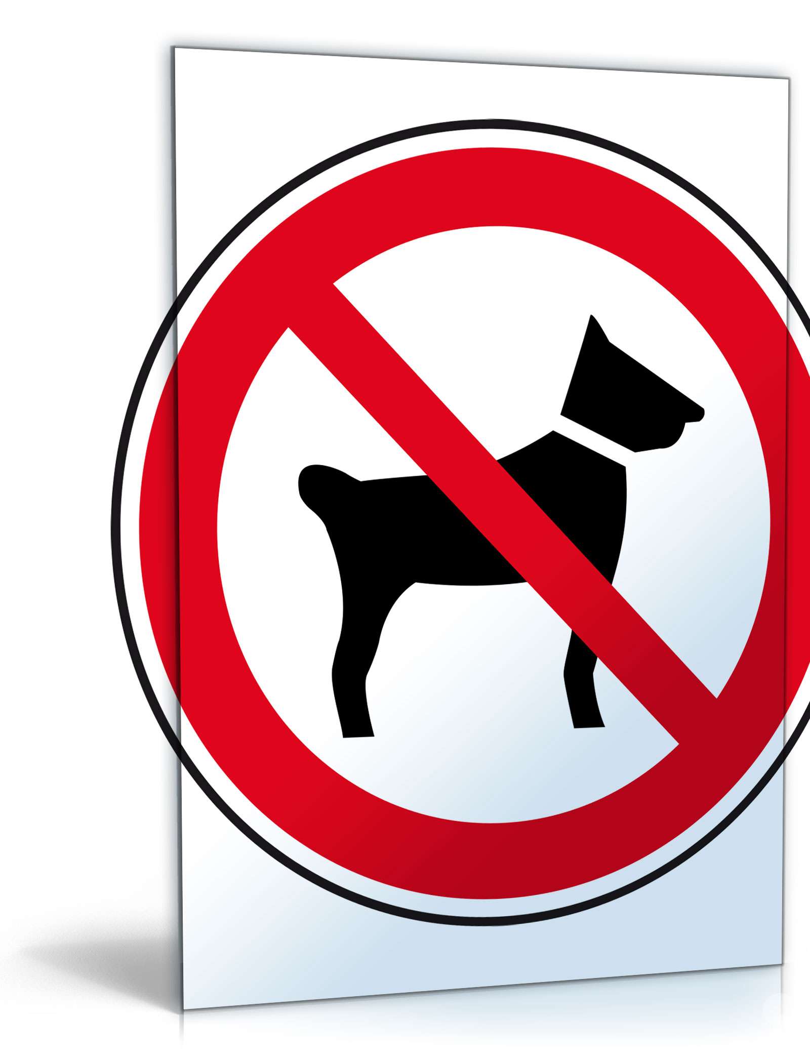 Schild "Hundeverbot" PDF