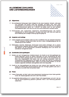 Allgemeine Zahlungs- und Lieferbedingungen Word