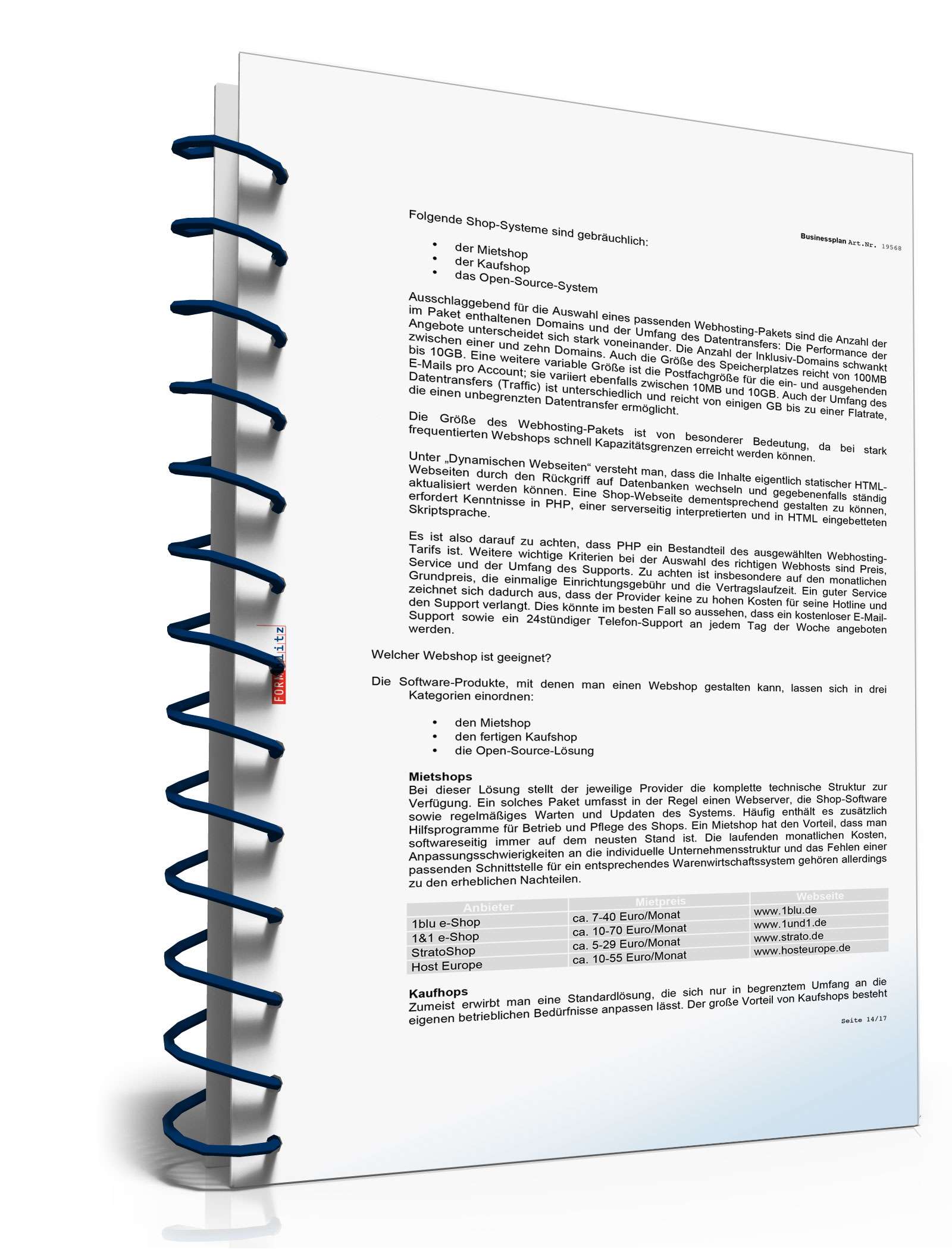 Businessplan für einen Online-Shop Excel. Seite: 12