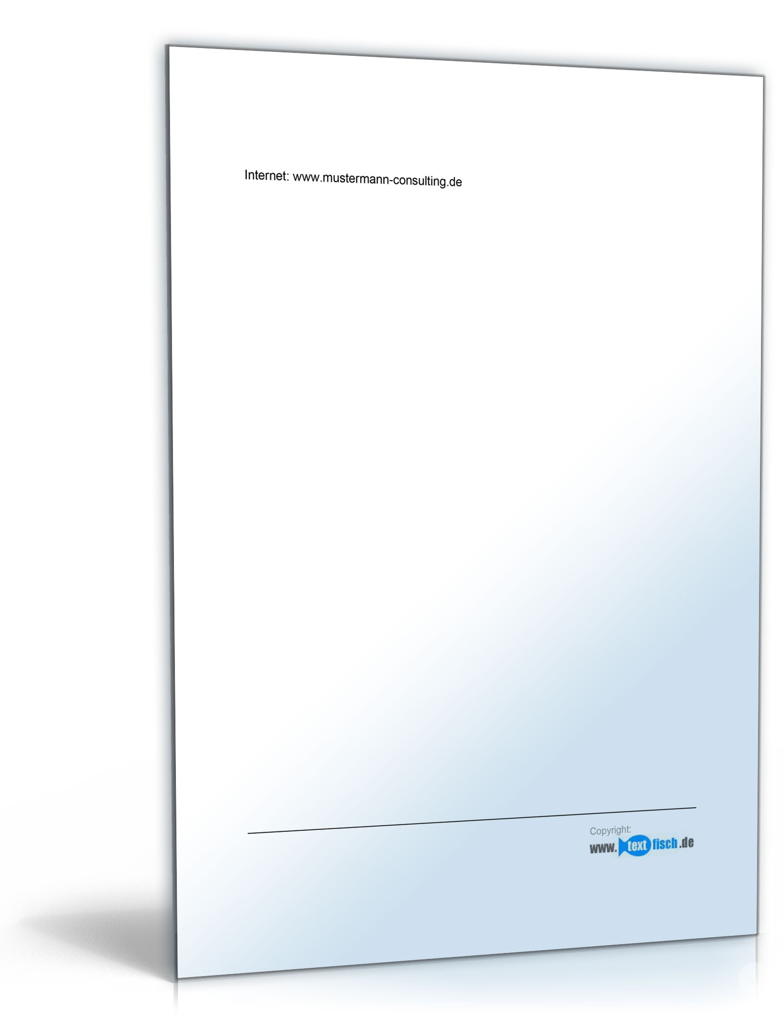 Werbebrief für einen IT-Consultant PDF. Seite: 2