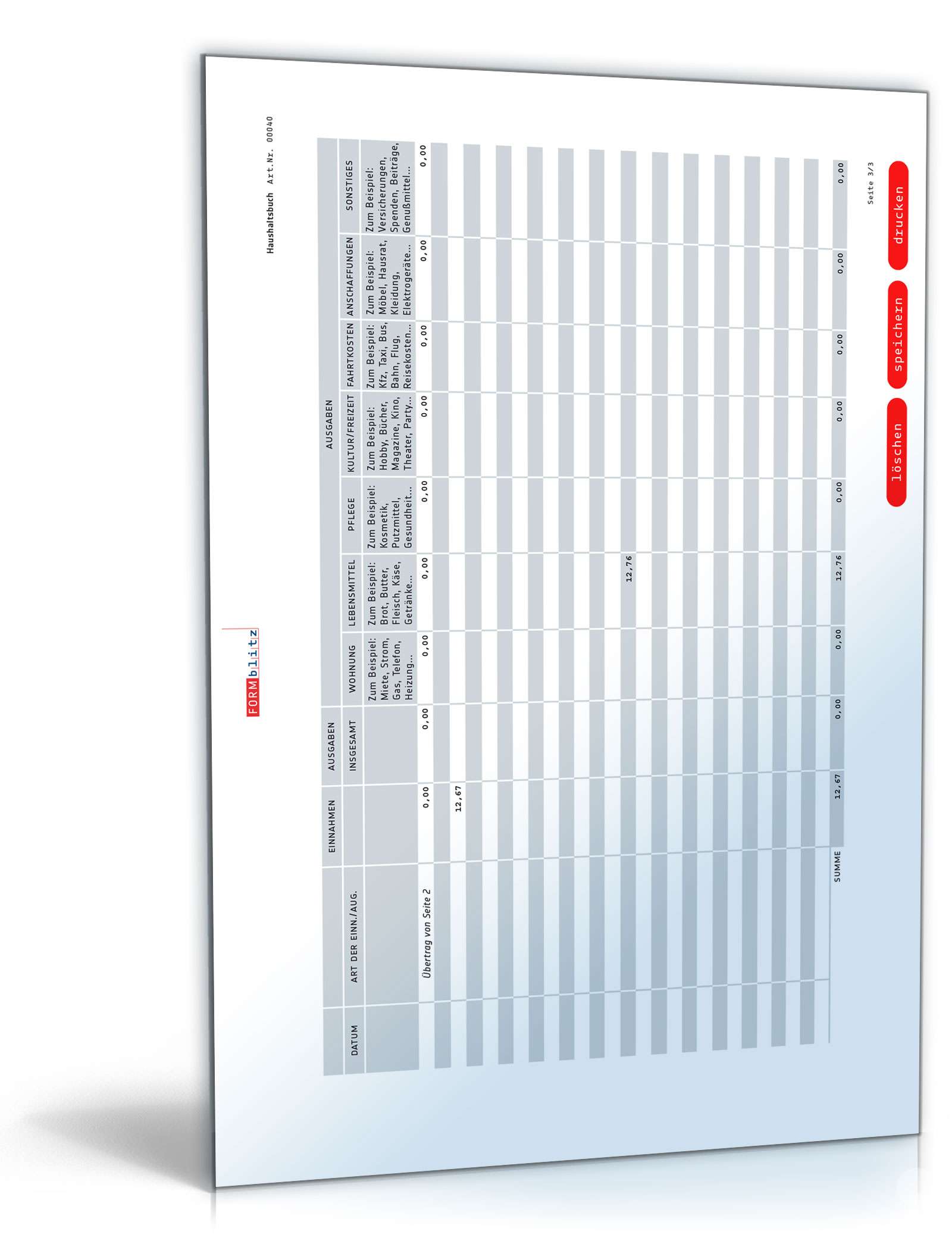 Haushaltsbuch PDF. Seite: 3