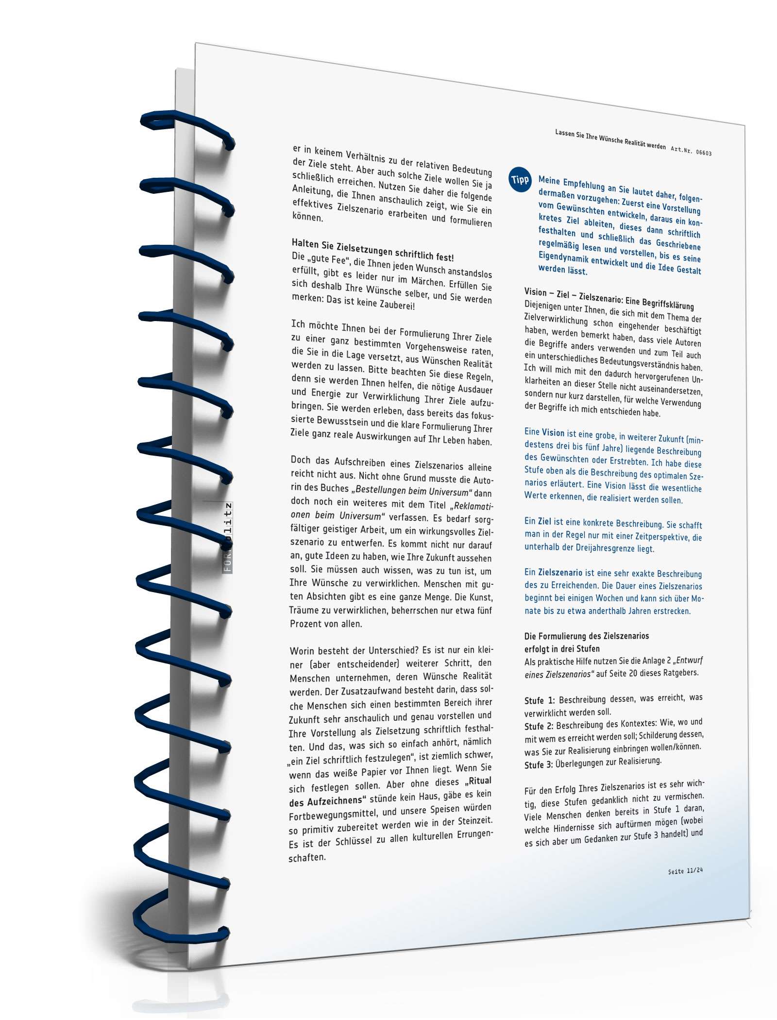 Lassen Sie Ihre Wünsche Realität werden PDF. Seite: 12