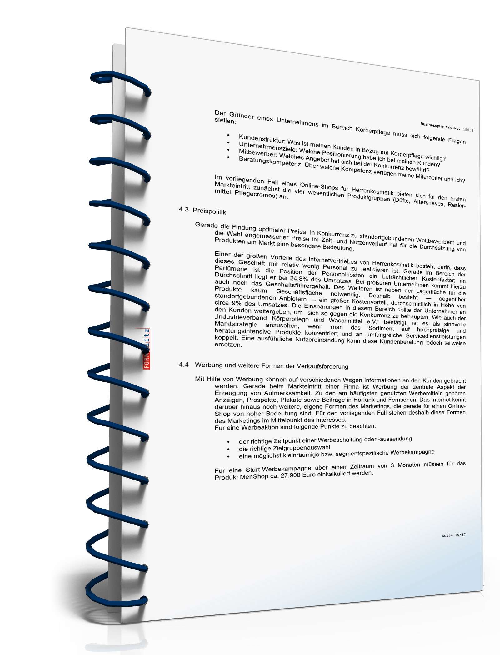 Businessplan für einen Online-Shop Excel. Seite: 8