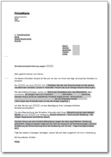 Geltendmachung von Schadensersatz (allgemein) Word