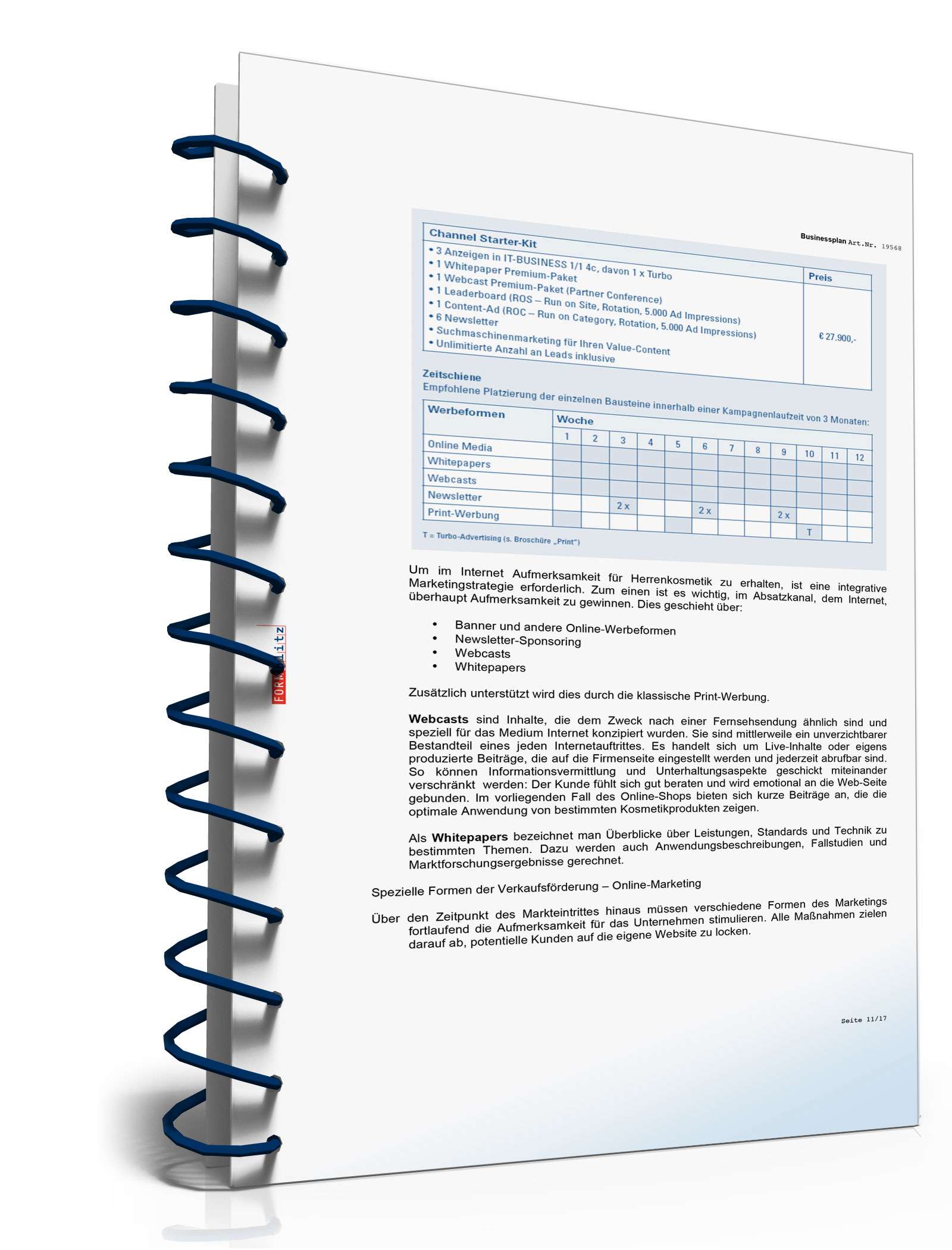 Businessplan für einen Online-Shop Excel. Seite: 9