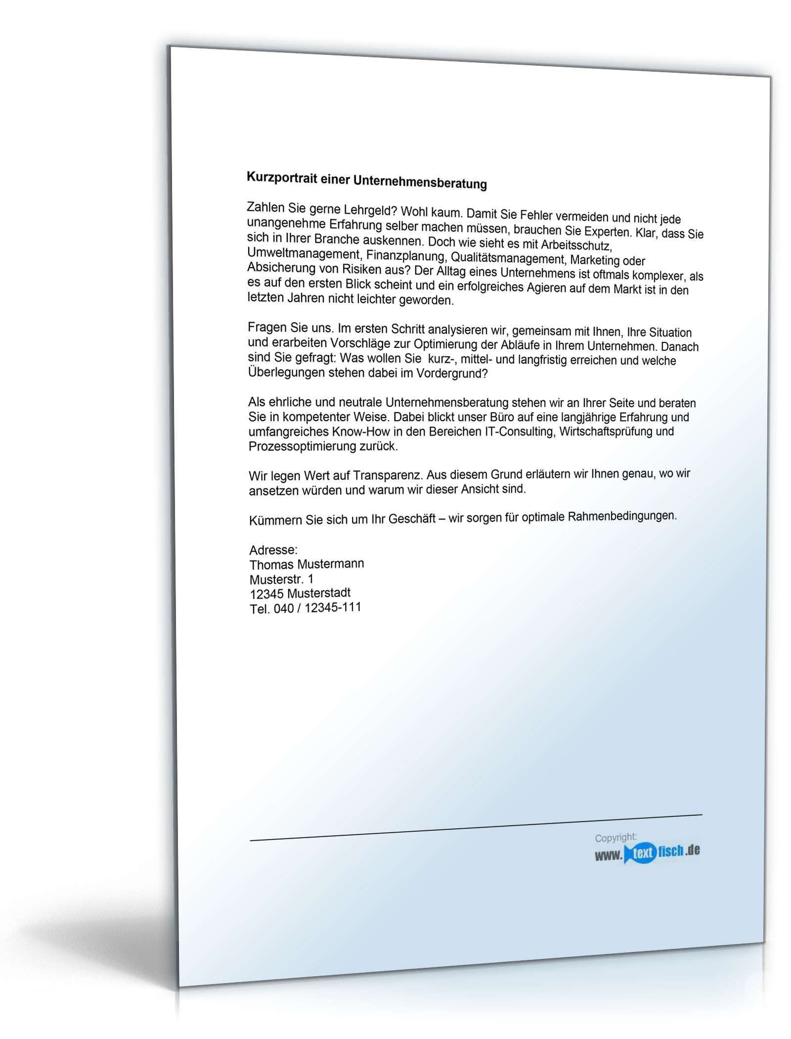 Werbetext für eine Unternehmensberatung